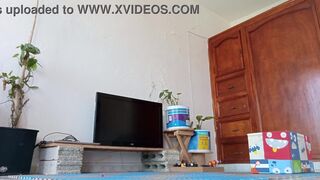 Karmica gets naughty with toys in the room and loves it!